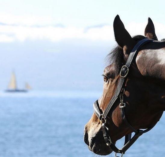 Photo de profil de liloua2000