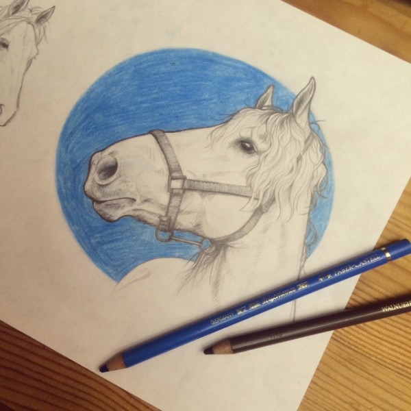 Photo de profil de liseanta