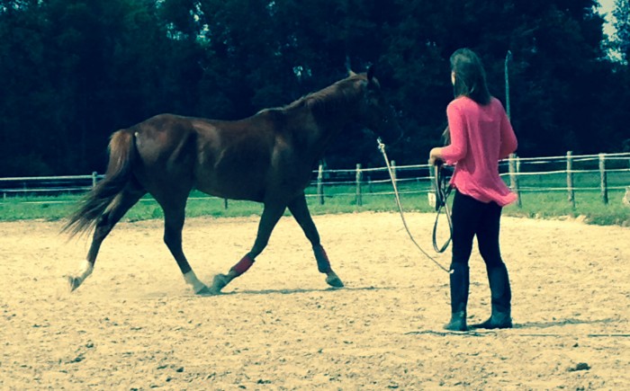 Photo de profil de littleb