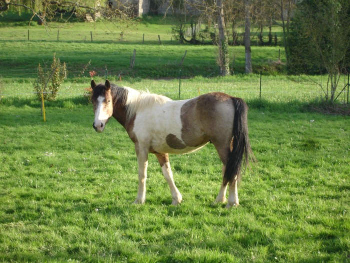 Photo de profil de liz09