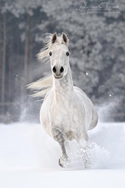 Photo de profil de lolo628