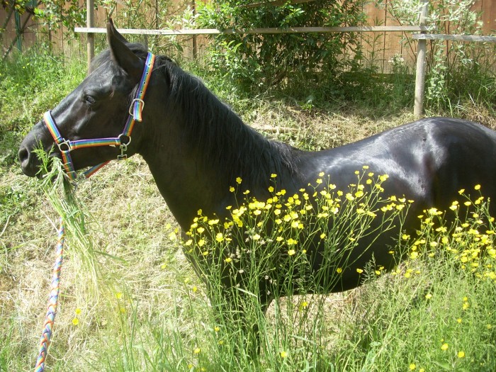 Photo de profil de luloa65