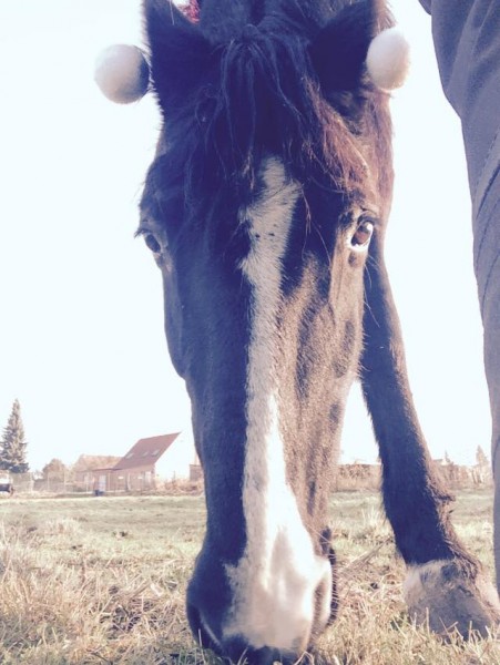 Photo de profil de luna59690