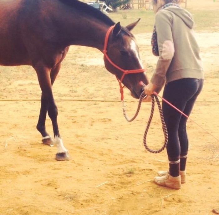 Photo de profil de maelysschiron