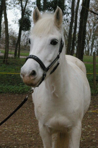 Photo de profil de mamzellethemis