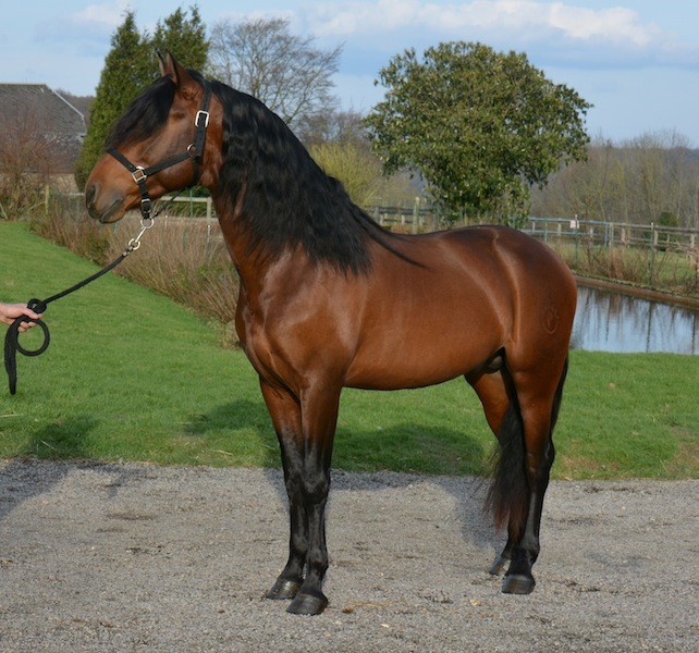 Photo de profil de manoudom