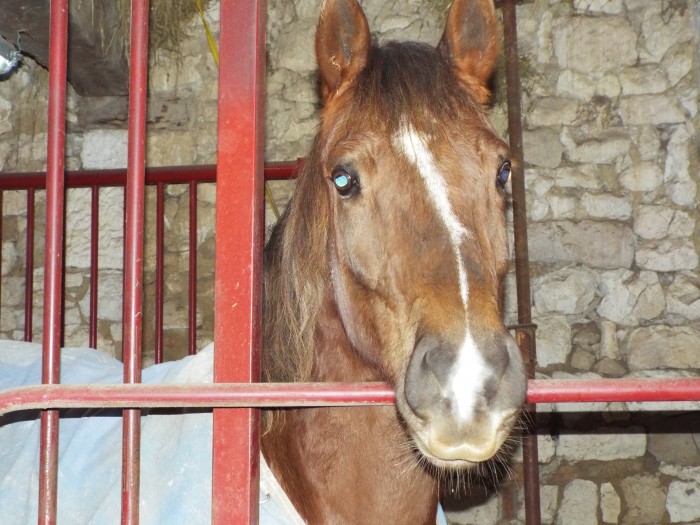 Photo de profil de margot508