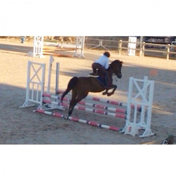 Photo de profil de margot_d