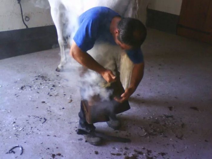 Photo de profil de mariaibatejo
