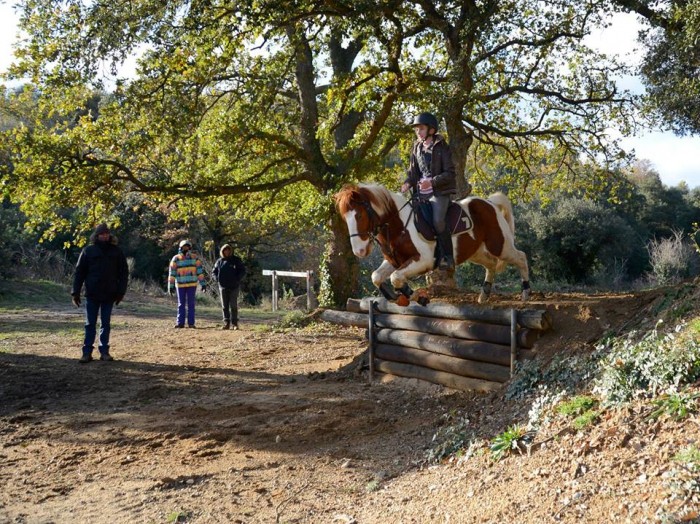 Photo de profil de marinetarzou66