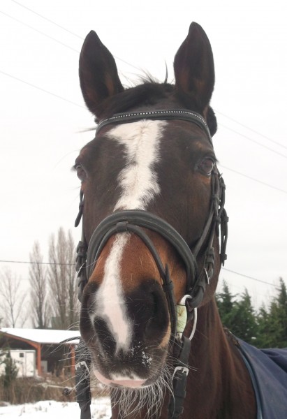 Photo de profil de marion526