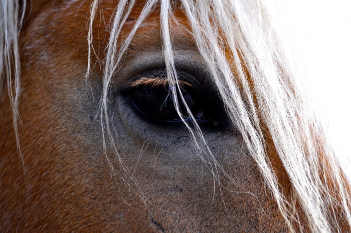 Photo de profil de mathildebls