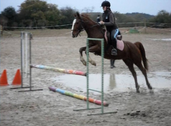 Photo de profil de mathilde.horse2