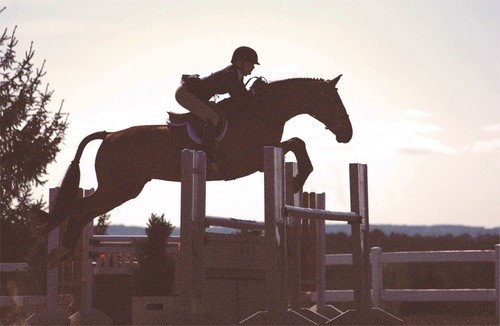 Photo de profil de mazellle34