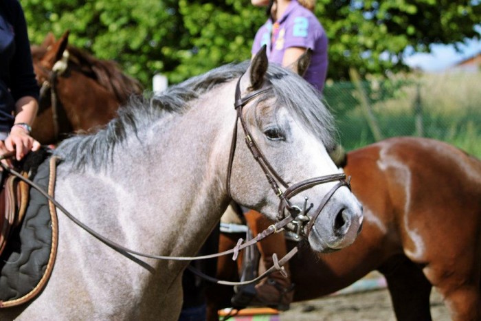 Photo de profil de melissajody