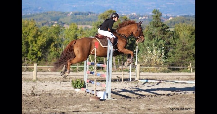 Photo de profil de montanabandit