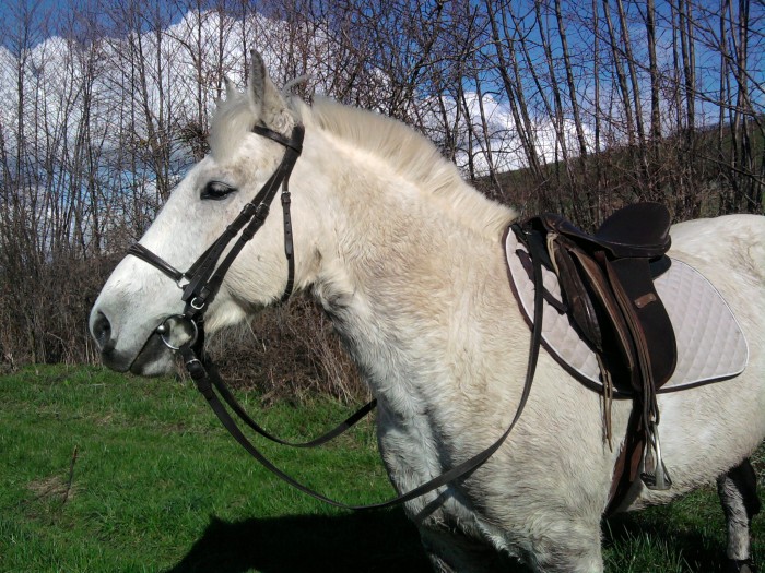 Photo de profil de moomo