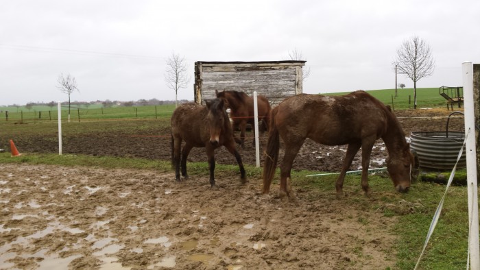 Photo de profil de moumouilledu57