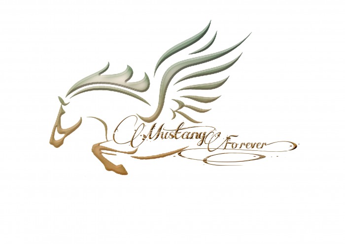 Photo de profil de mustang_forever