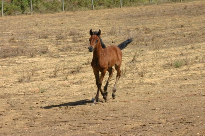 Photo de profil de mylene.hru
