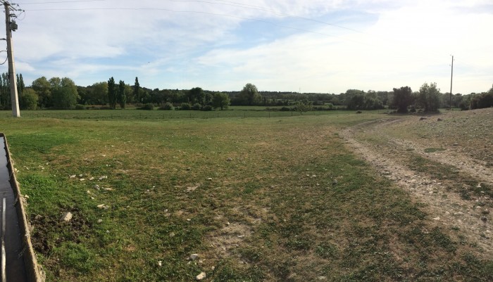 Photo de profil de ngeltonelli