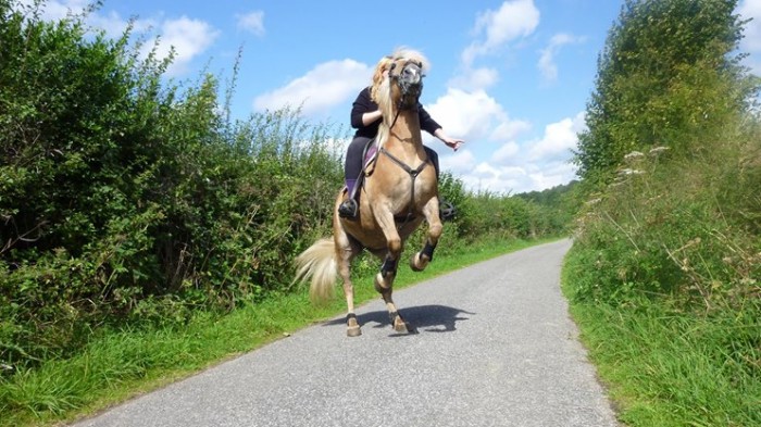 Photo de profil de osmoze62