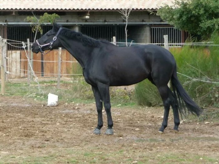 Photo de profil de oupi