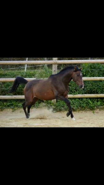 Photo de profil de peggyparis