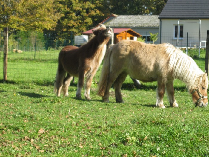 Photo de profil de phiiliippe