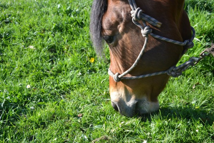 Photo de profil de plurielle