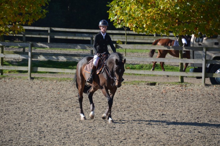 Photo de profil de primerose