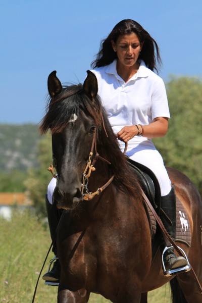 Photo de profil de pureraceespagno
