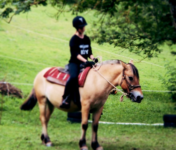 Photo de profil de redcheval