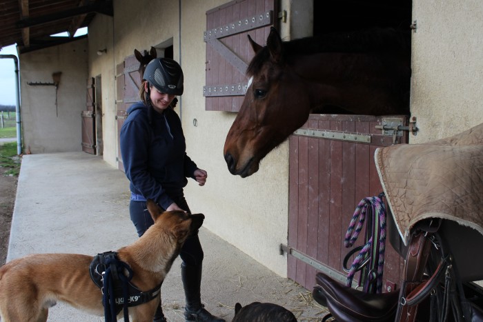 Photo de profil de royaletco