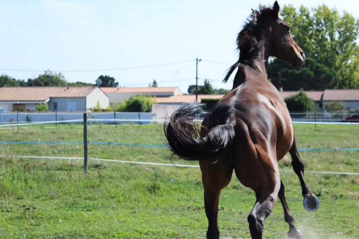 Photo de profil de royalfolie17