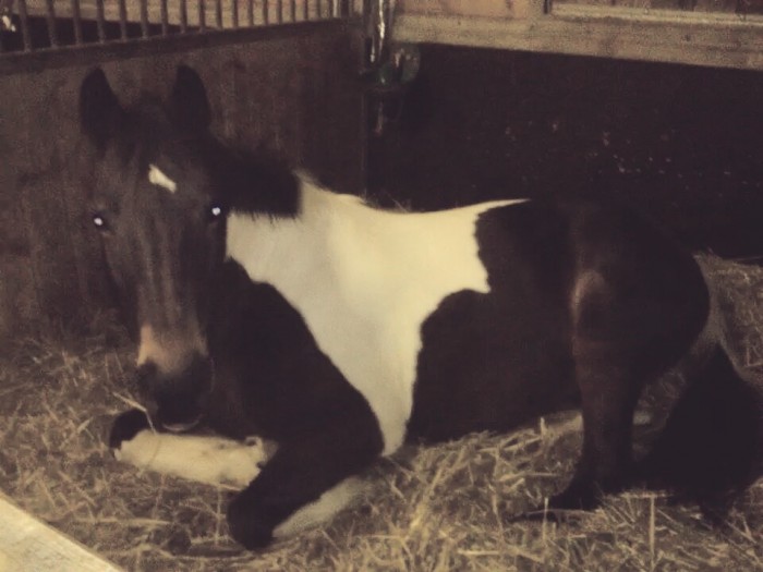 Photo de profil de ruby45