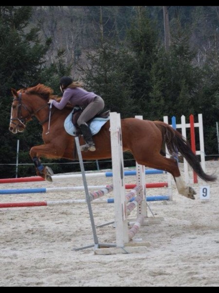 Photo de profil de saniahoy