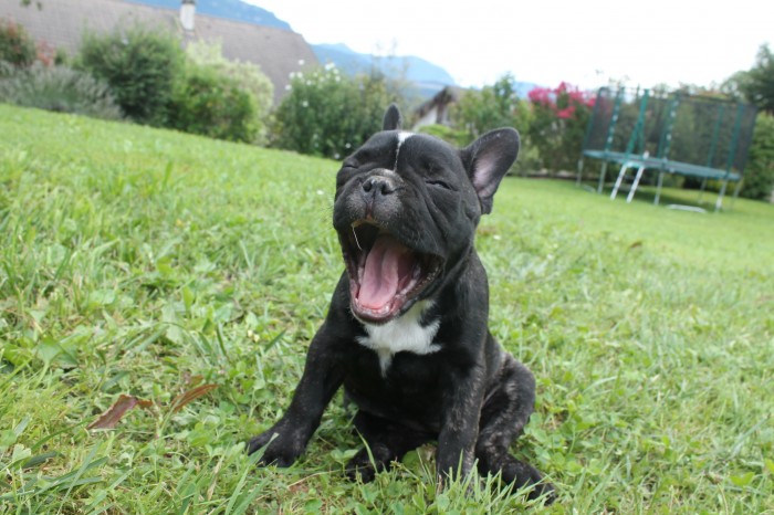 Photo de profil de september.