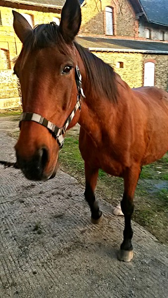 Photo de profil de sheitan01