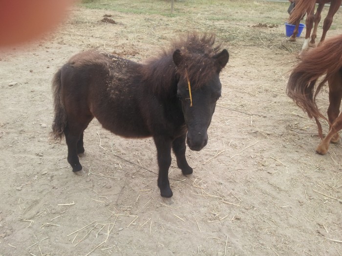 Photo de profil de shetattelage28