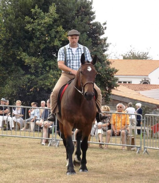 Photo de profil de shuwi77