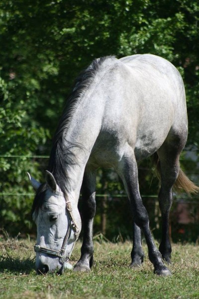 Photo de profil de solinouu