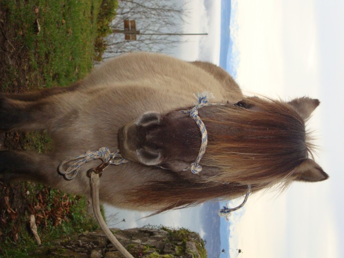 Photo de profil de spirit0101