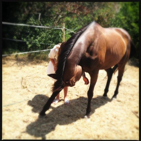 Photo de profil de susieb