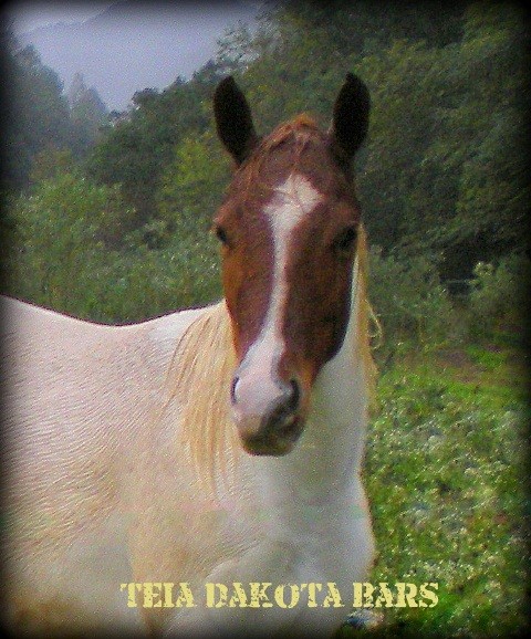 Photo de profil de tatanca