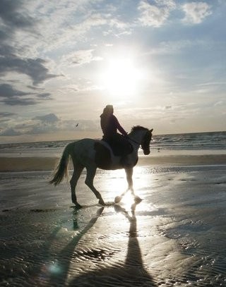 Photo de profil de texasboy