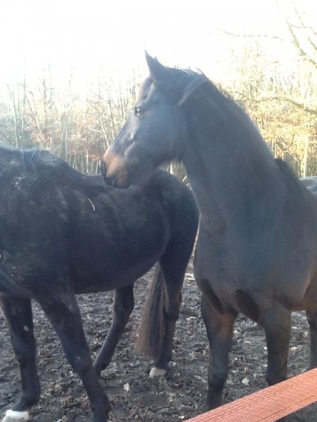 Photo de profil de thierry1378