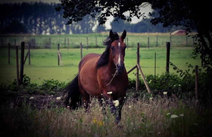 Photo de profil de uantesse