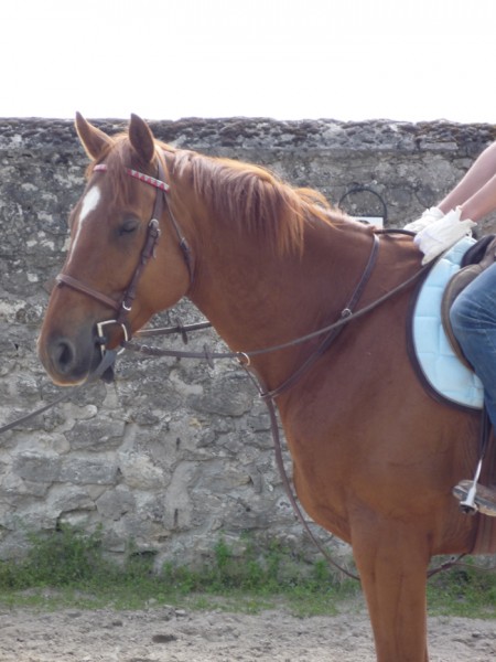 Photo de profil de uinness