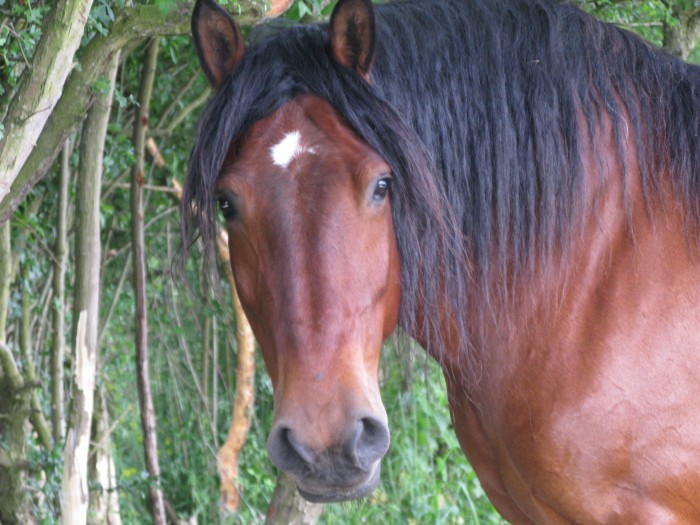 Photo de profil de undien